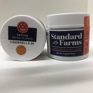 Standard Farms - Cinderella 99