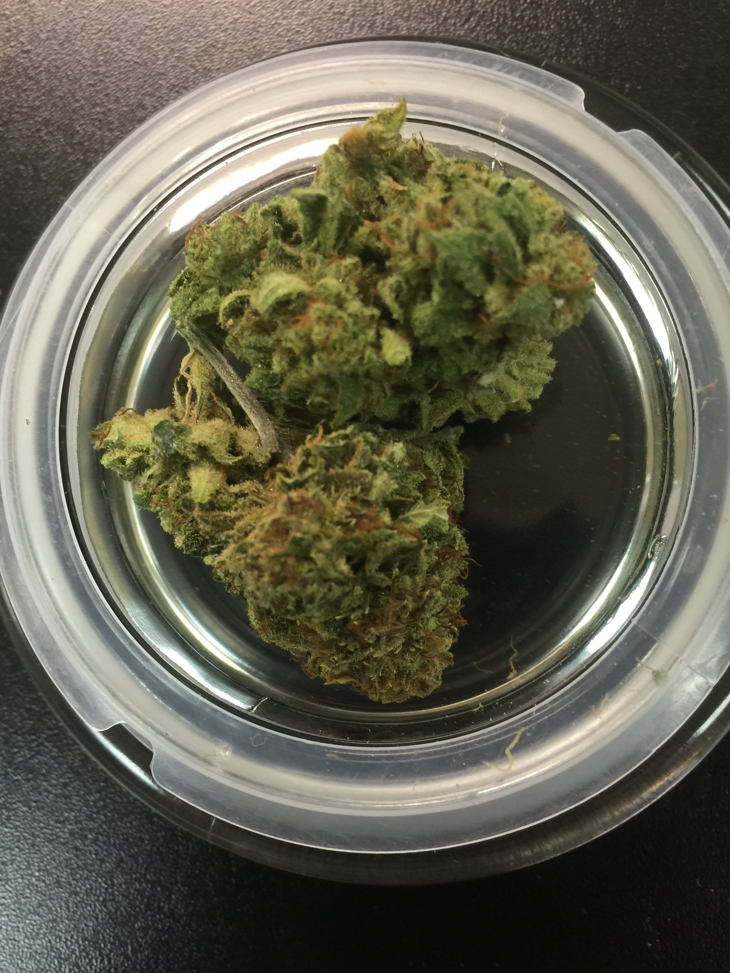marijuana-dispensaries-house-of-zen-in-detroit-star-tonic