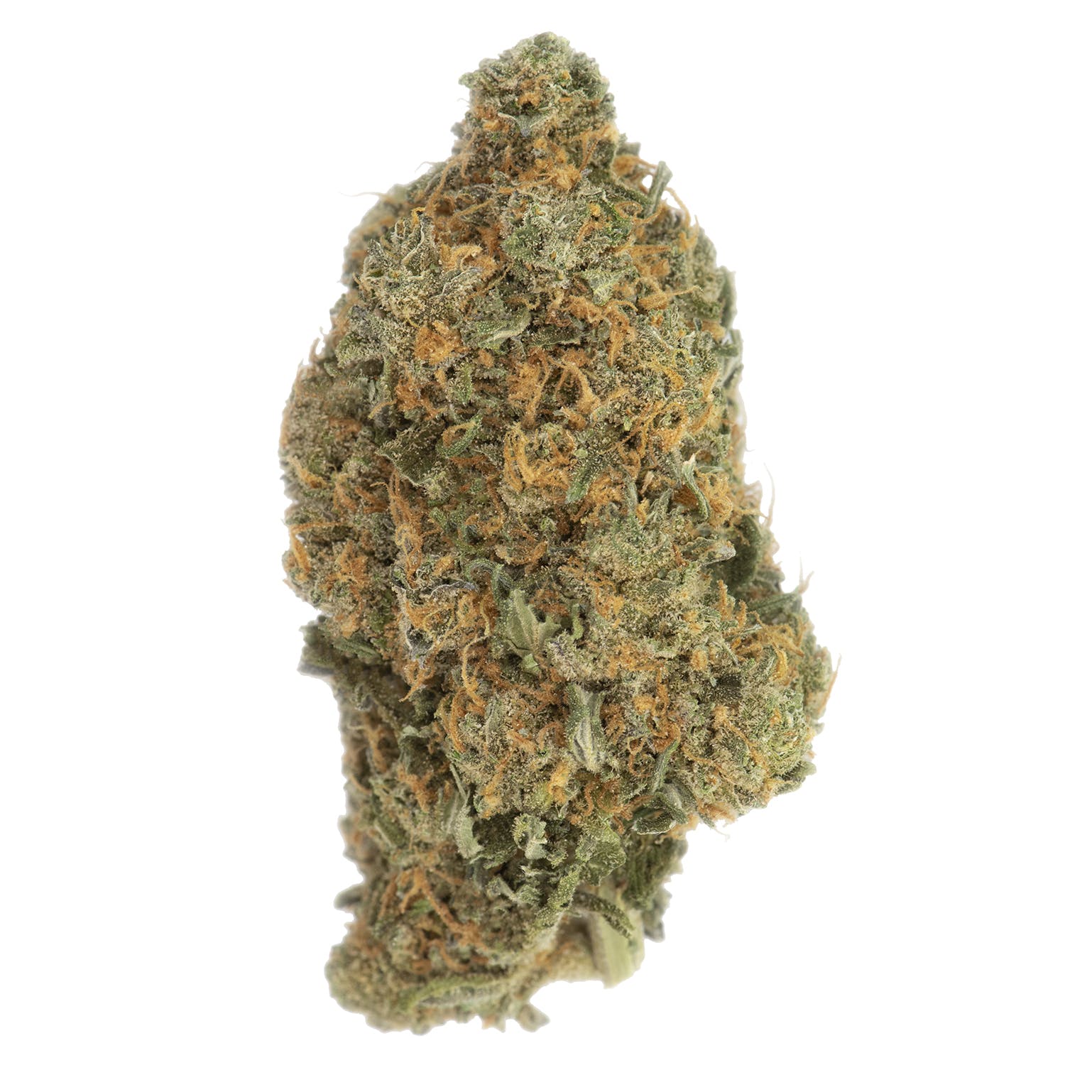 marijuana-dispensaries-146-ottawa-st-n-hamilton-stardawg-by-rarest-cannabis
