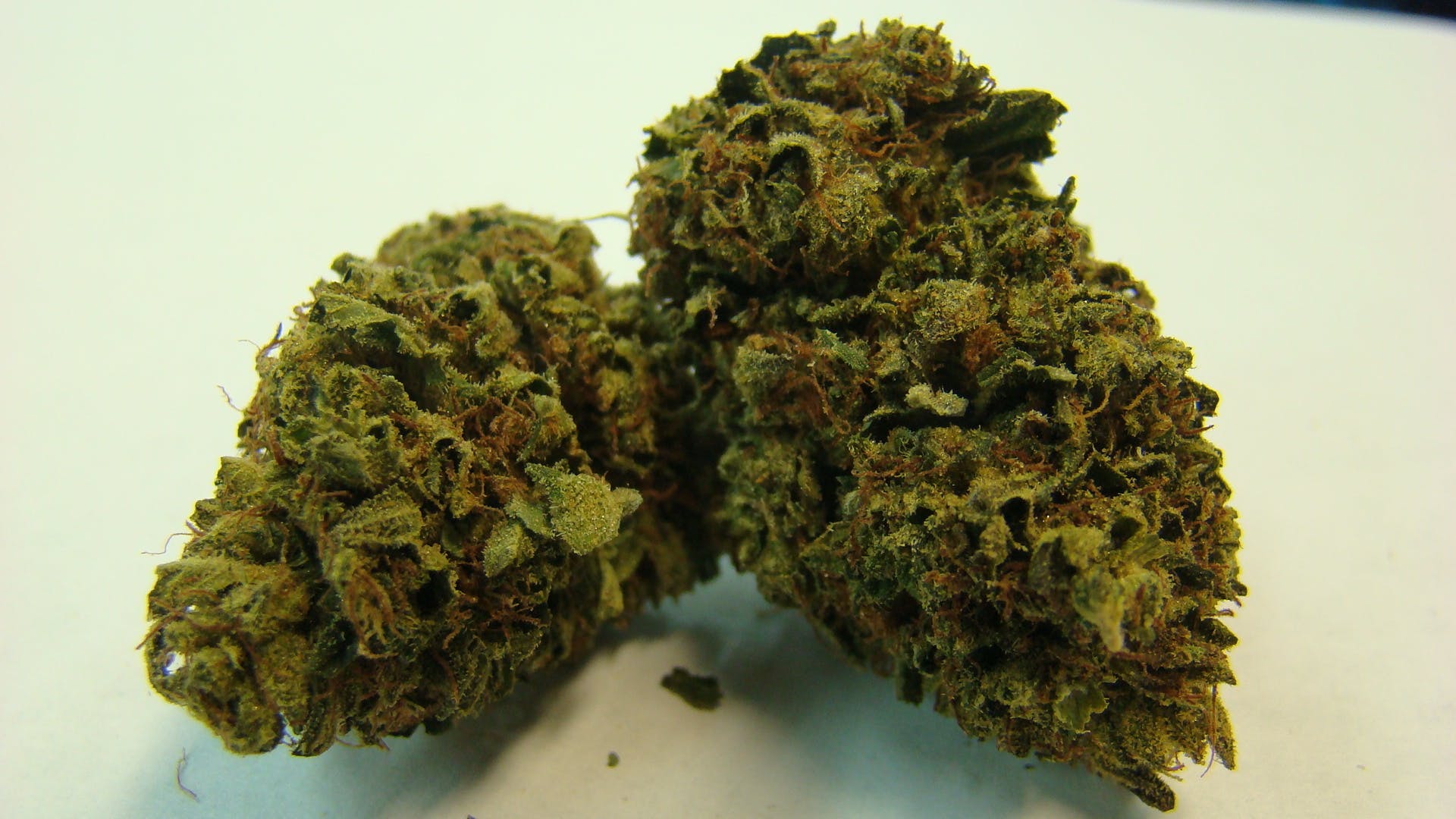 marijuana-dispensaries-3019-toupal-drive-trinidad-stardawg-hybrid-20-25
