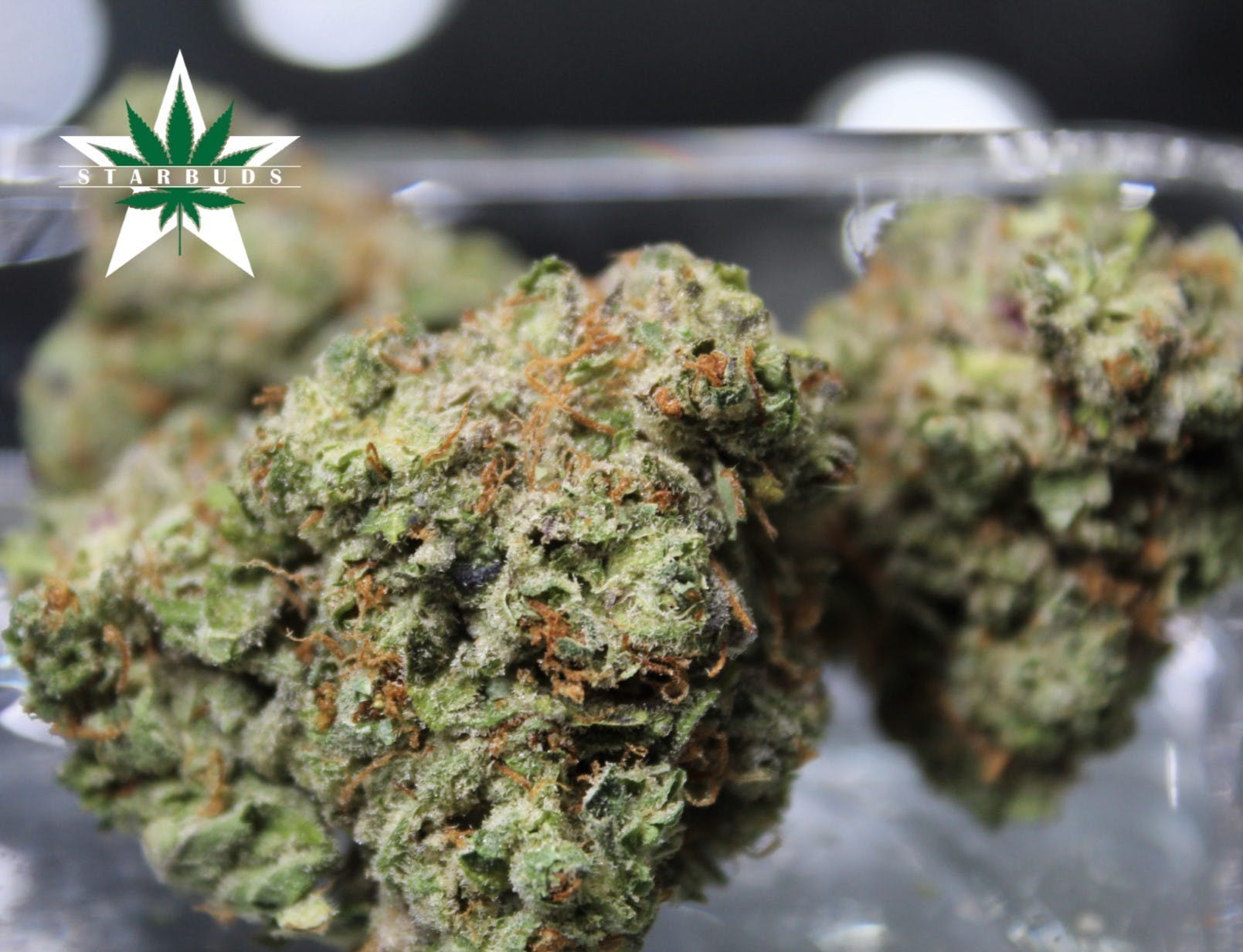 marijuana-dispensaries-5975-belair-rd-baltimore-stardawg-premium