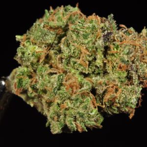 Stardawg (Recreational)(Pink Tag)
