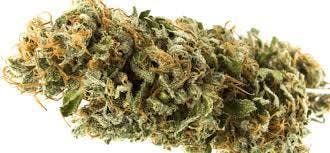 marijuana-dispensaries-cannabis-express-in-ottawa-stargazer