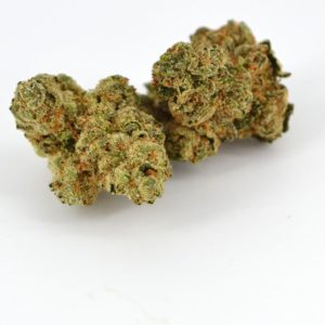 State Flower Cannabis- SFV OG