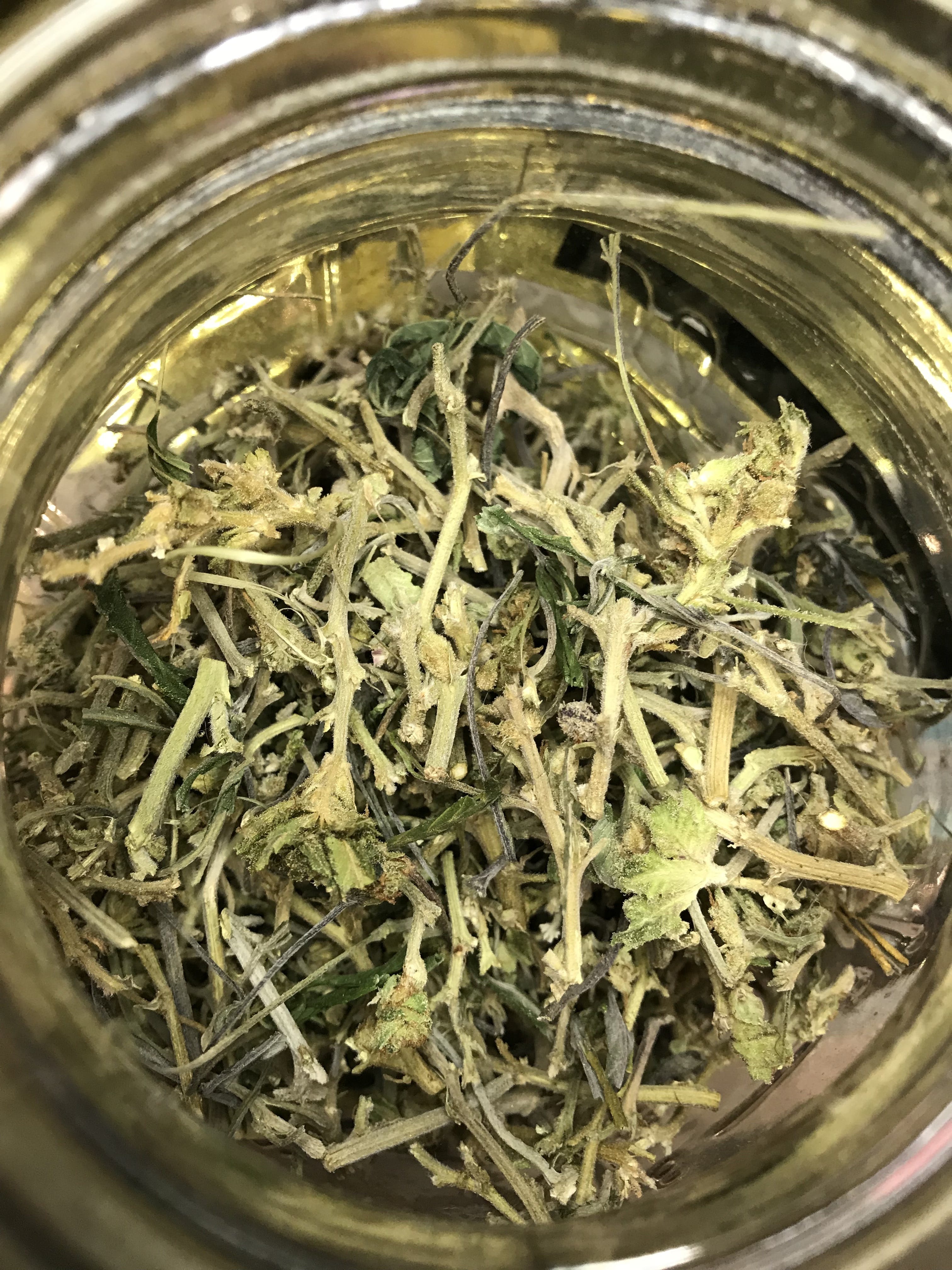 marijuana-dispensaries-rose-garden-collective-in-los-angeles-stems