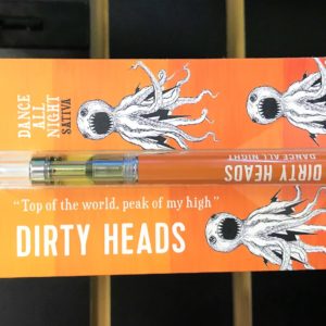 Stick.e.vape - Dirty Heads Dance All Night (500mg) Disposable