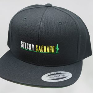 Sticky Saguaro Hat