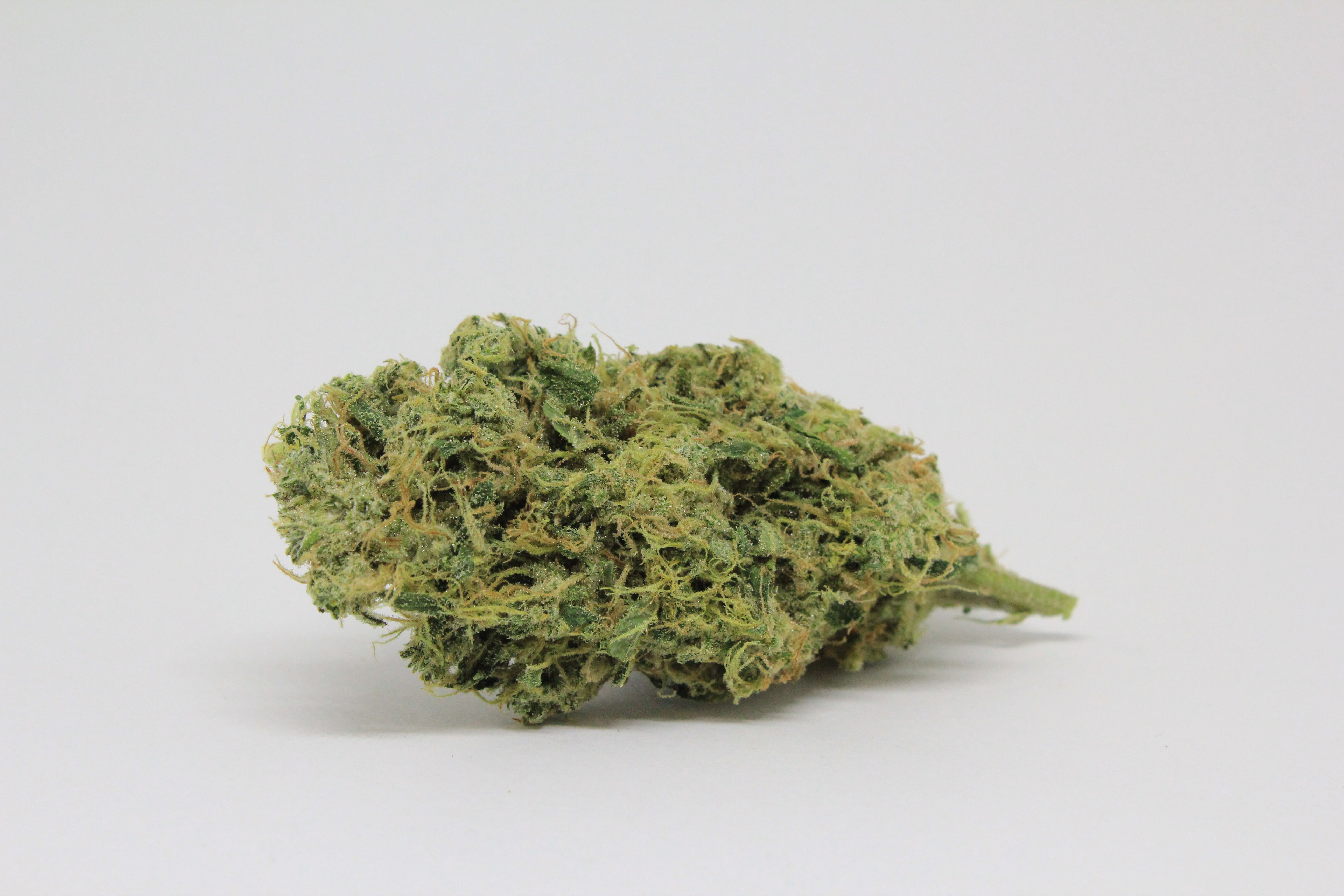 marijuana-dispensaries-kaya-cannabis-colfax-med-in-denver-stinky-pete-18