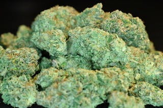 marijuana-dispensaries-159-s-franklin-street-juneau-stoned-salmon-farms-cinderella-99