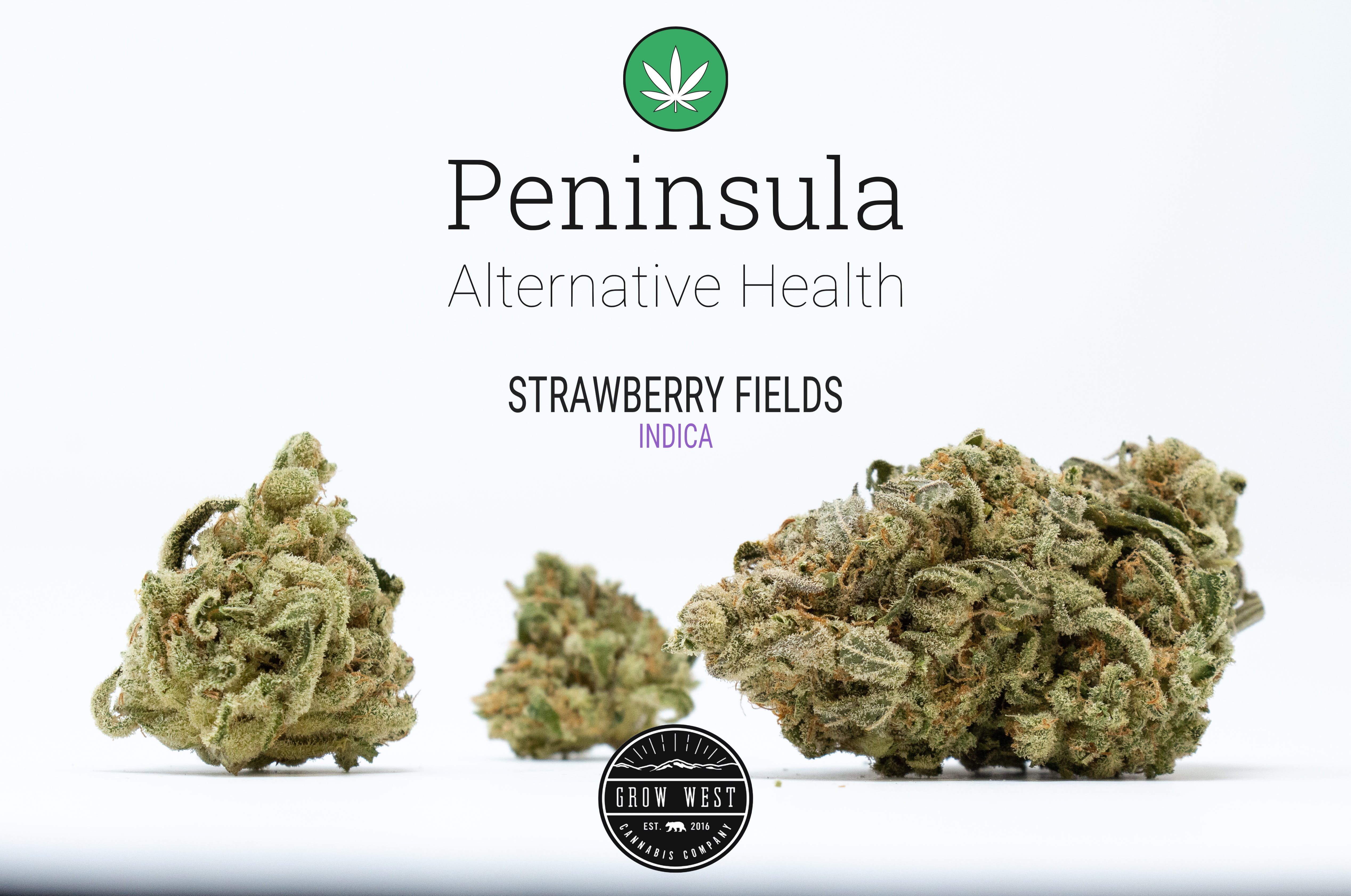 marijuana-dispensaries-peninsula-alternative-health-in-salisbury-strawberry-fields-by-grow-west