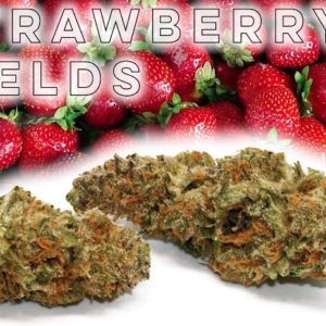 Strawberry Fields - from Shore Natural Rx