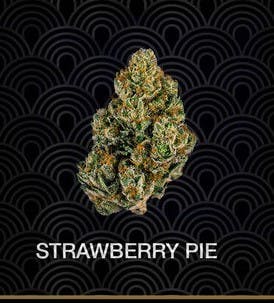 Strawberry Pie (I) 19.21%THC (MAVEN GENETICS)