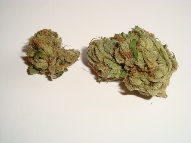marijuana-dispensaries-2110-s-yale-street-unit-a-santa-ana-stunner-farms-chief-og