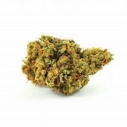 marijuana-dispensaries-2110-s-yale-street-unit-a-santa-ana-stunner-farms-twisted-citrus