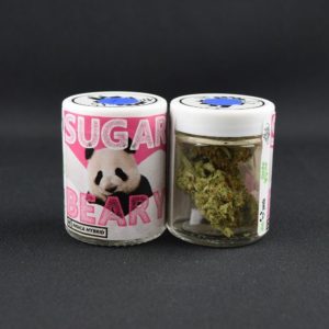 Sugar Beary - Phat Panda