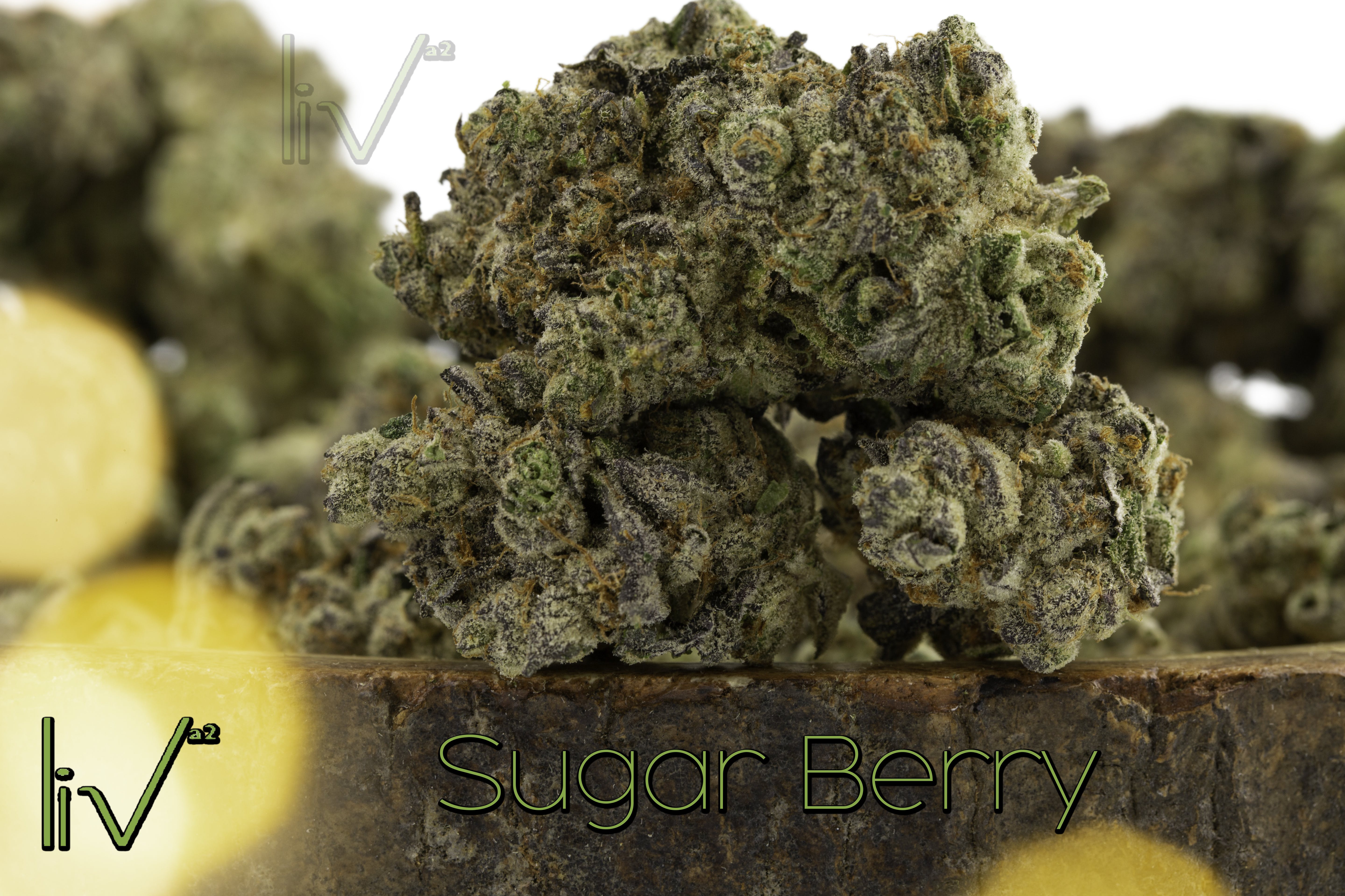marijuana-dispensaries-603-e-william-st-ann-arbor-sugar-berry