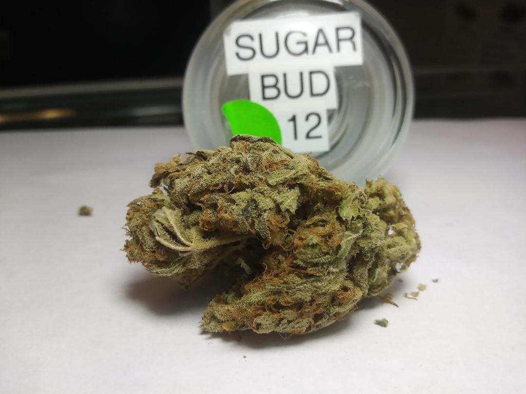 marijuana-dispensaries-3553-s-dort-hwy-suite-106-flint-sugar-bud