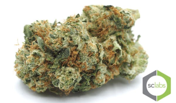 marijuana-dispensaries-27-spectrum-pointe-suite-305-lake-forest-sundae-cookies-top-shelf