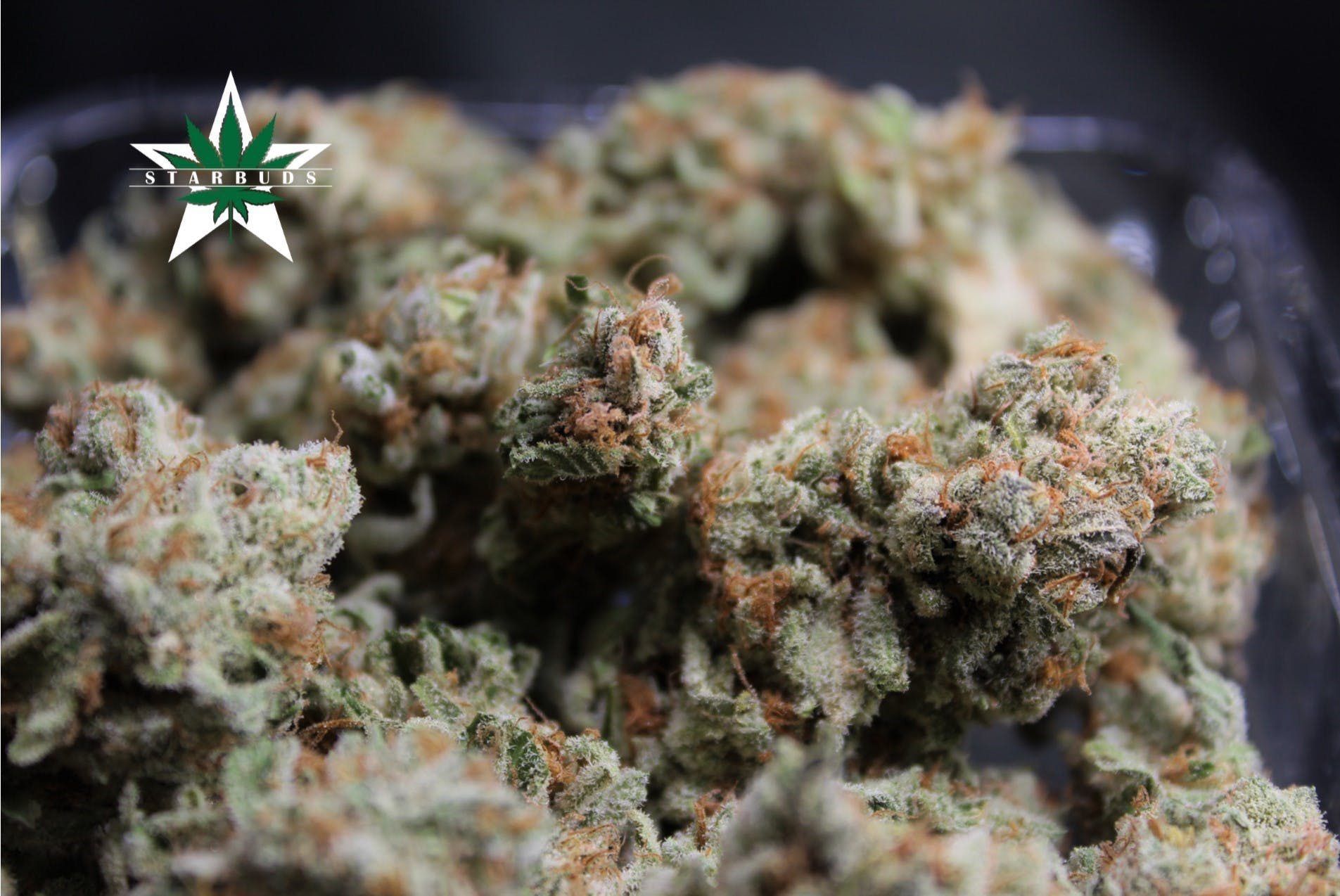 marijuana-dispensaries-5975-belair-rd-baltimore-sunday-brunch-premium