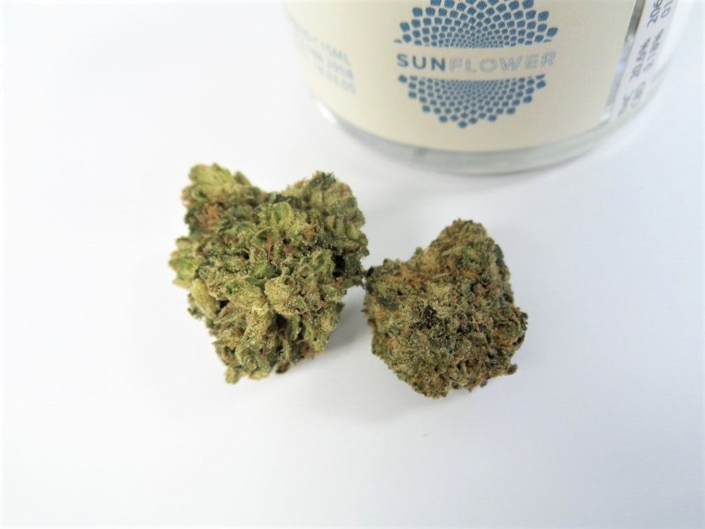 marijuana-dispensaries-8440-enterprise-way-oakland-sunflower-comfort