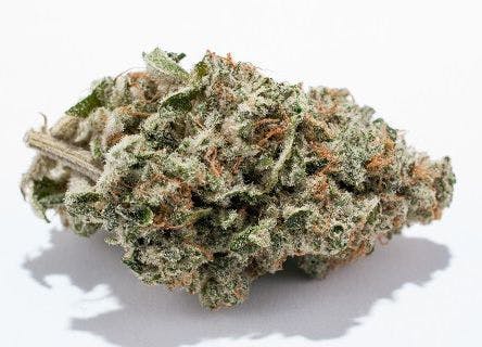marijuana-dispensaries-zen-leaf-las-vegas-in-las-vegas-sunny-d-verano