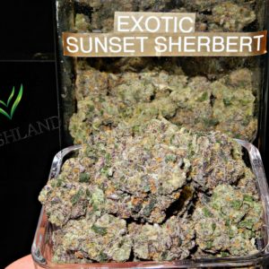 Sunset Sherbert (Exotic)