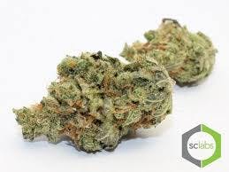 marijuana-dispensaries-13659-magnolia-ave-corona-sunset-sherbert-premium-5g-40-2430