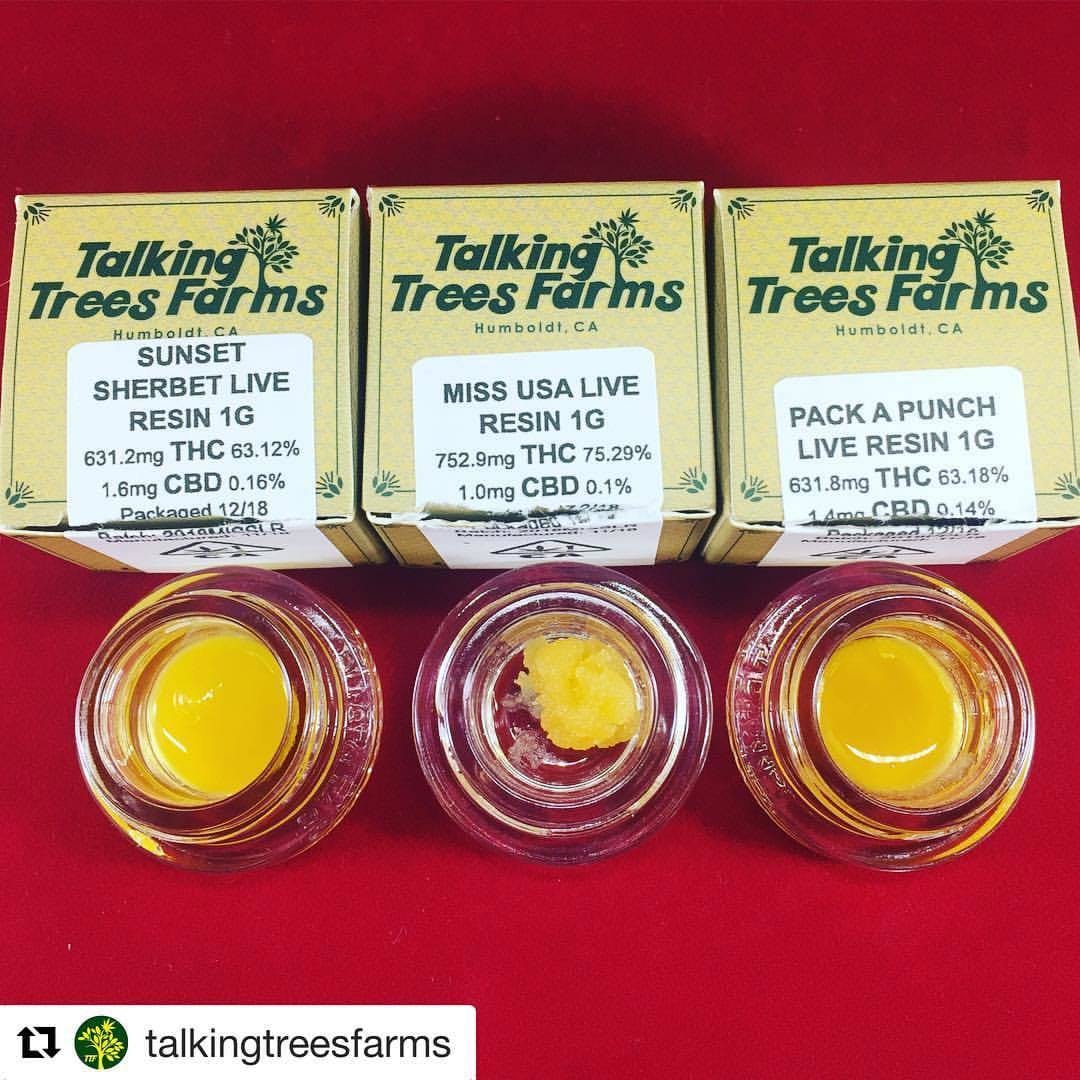 concentrate-sunset-sherbet-live-resin-live-resin-by-talking-trees-farms