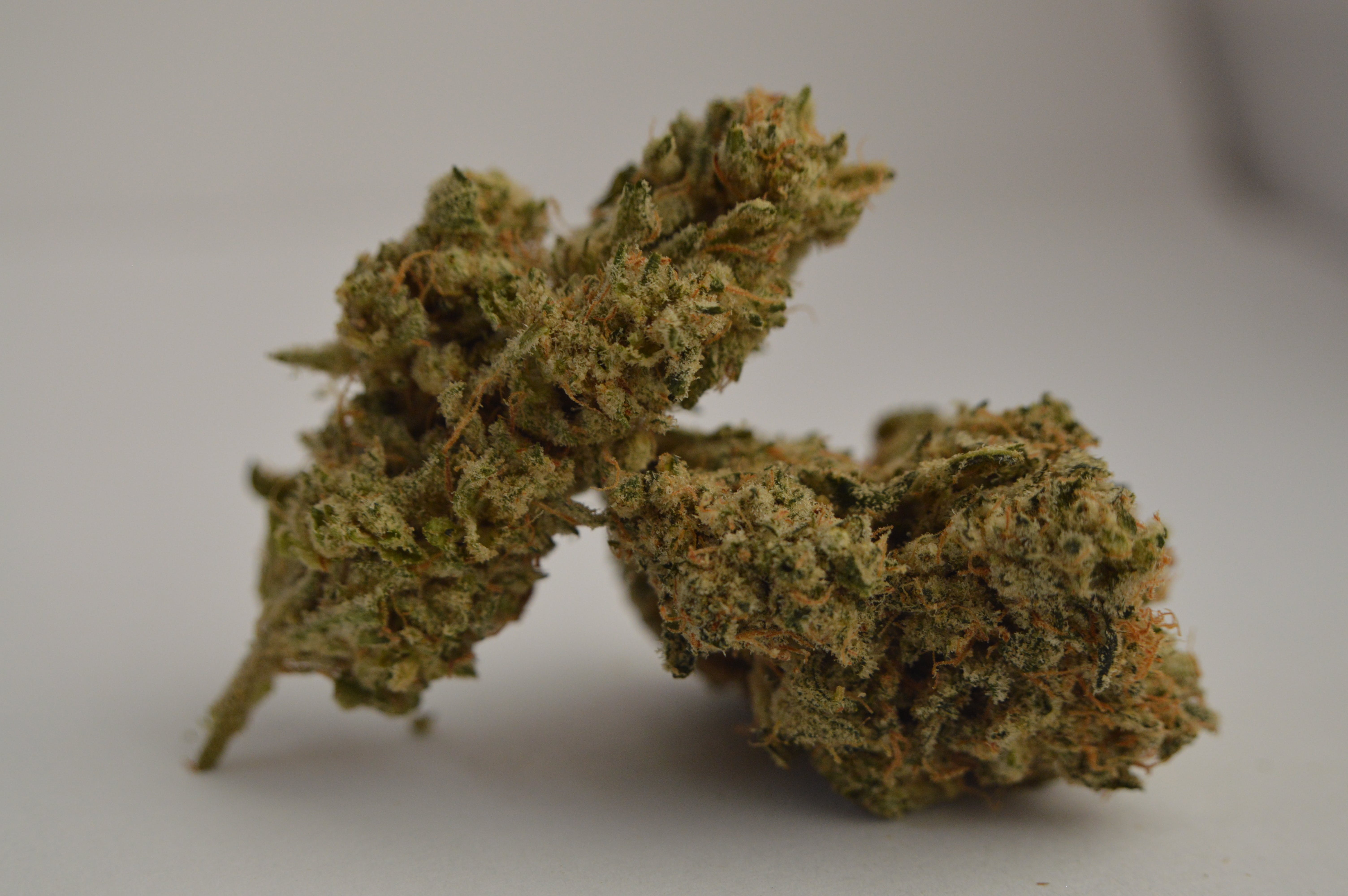 marijuana-dispensaries-603-e-william-st-ann-arbor-sunshine-234-hybrid-sativa