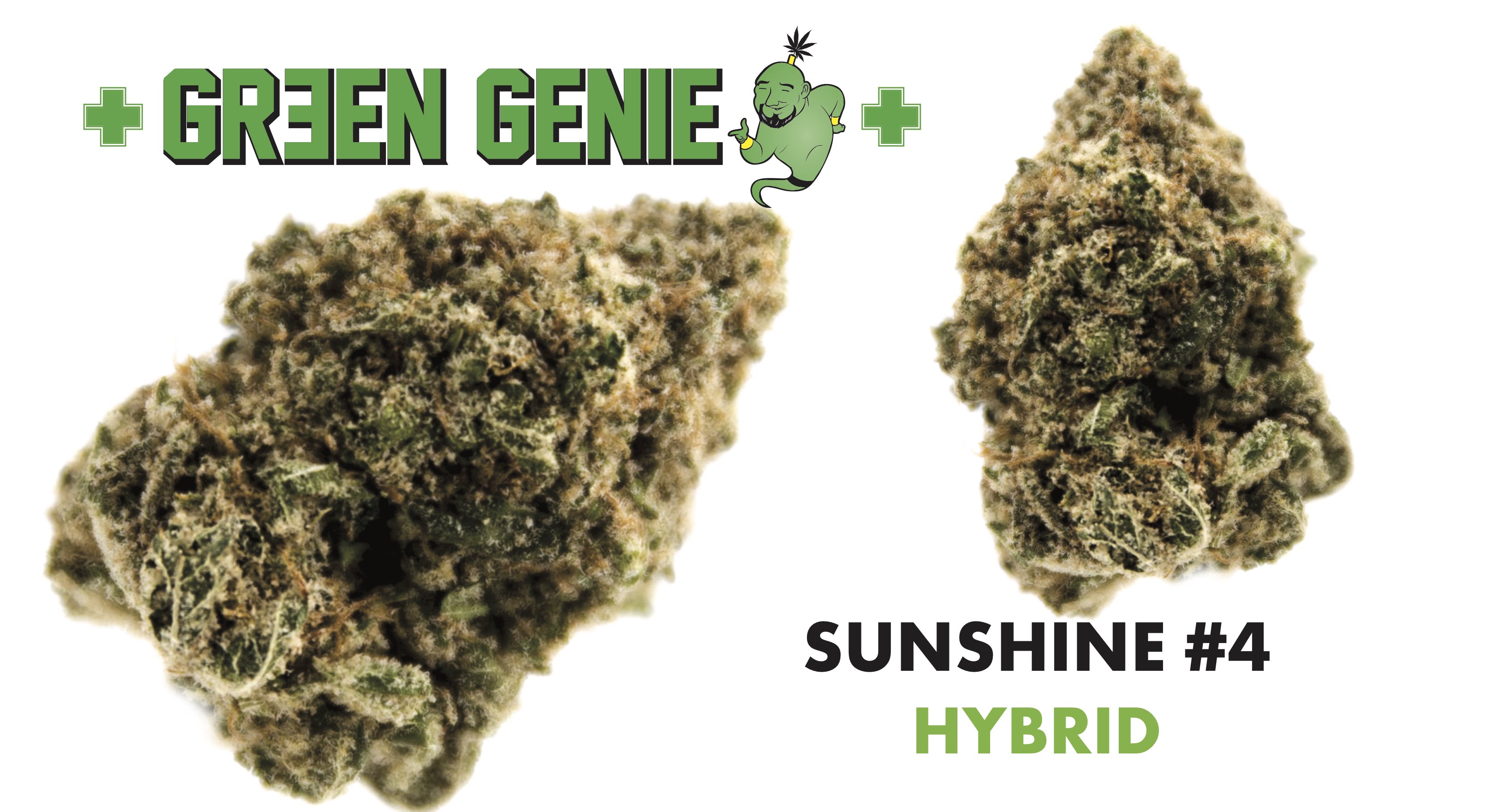 hybrid-sunshine-234