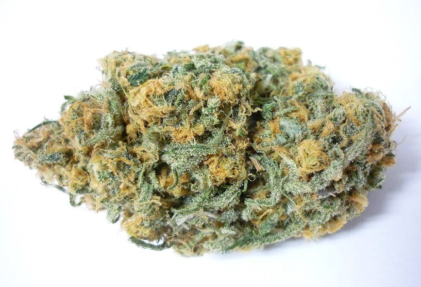 sativa-super-blue-dream-exclusive-4-for-40-or-5-for-50