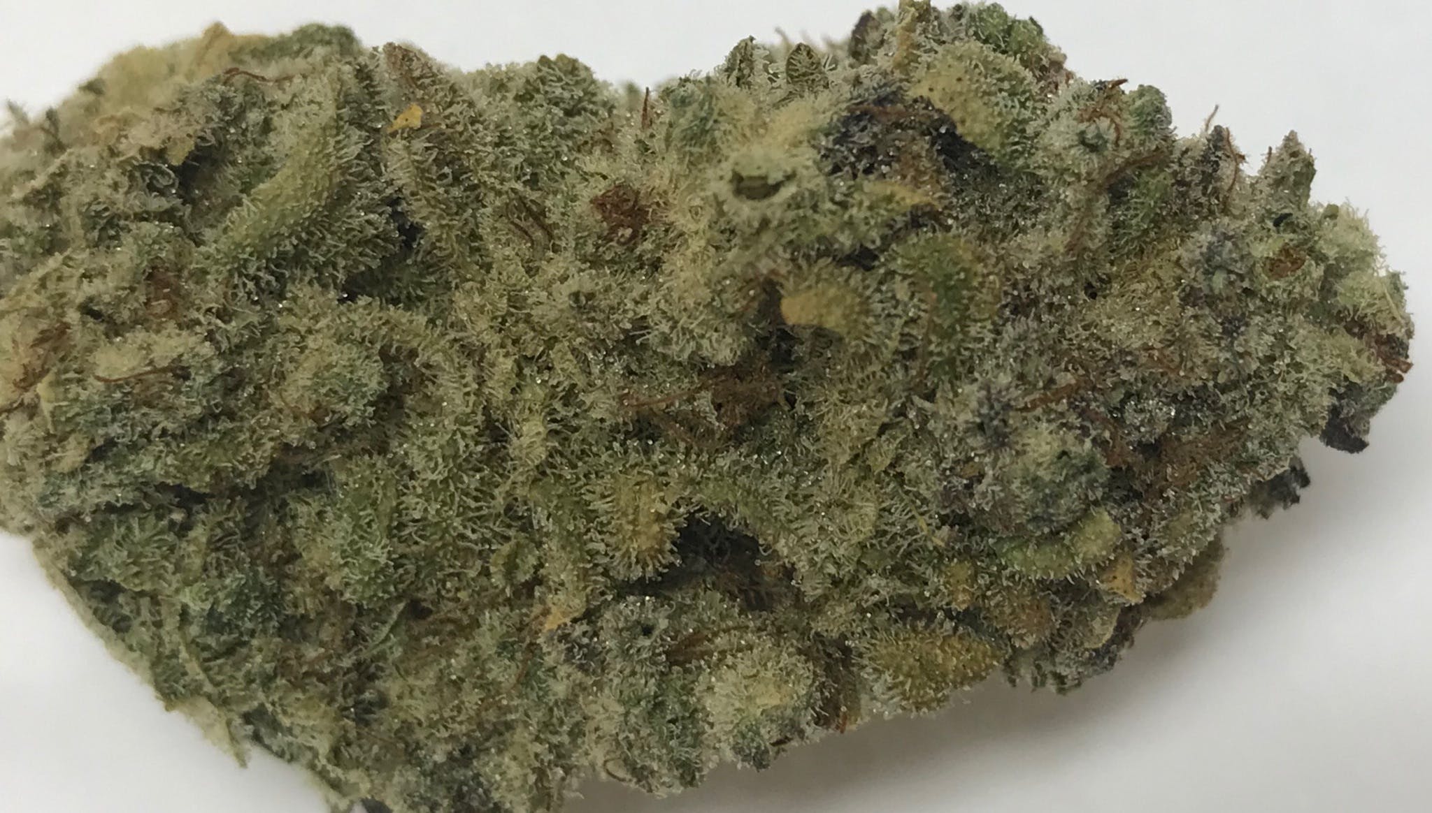 hybrid-super-dope-by-craft-cannabis-connection
