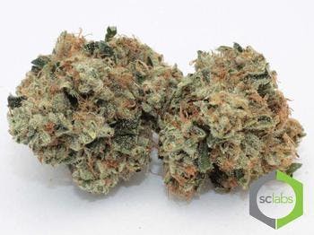 marijuana-dispensaries-27-spectrum-pointe-suite-305-lake-forest-super-glue-connoisseur