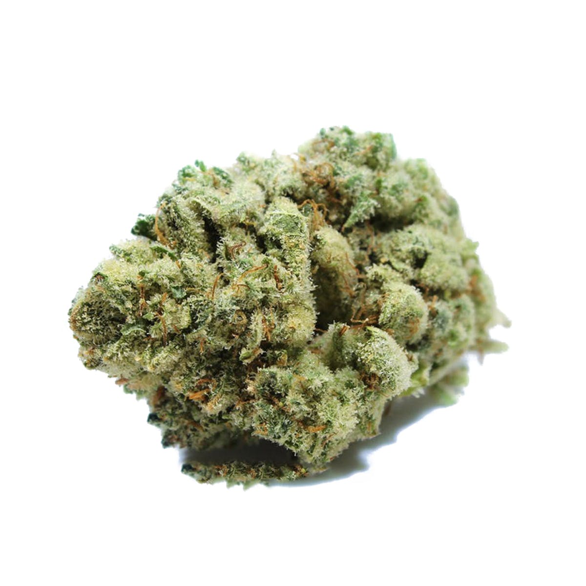 marijuana-dispensaries-3700-w-segerstrom-ave-2c-suite-a-santa-ana-super-glue-fats-glue