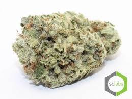 marijuana-dispensaries-13659-magnolia-ave-corona-super-glue-premium-5g-40-2445