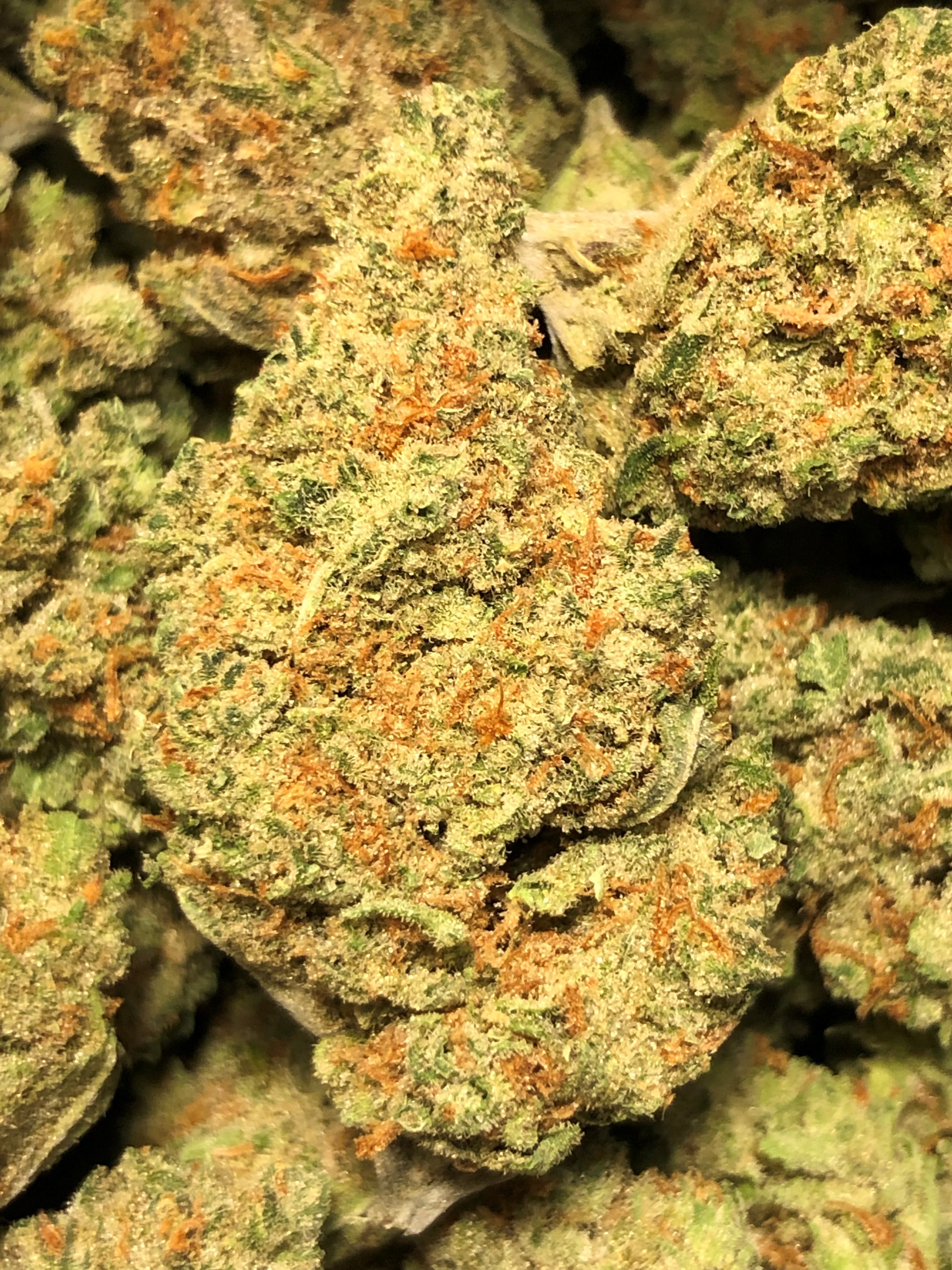 marijuana-dispensaries-130-e-cheyenne-rd-colorado-springs-super-lemon-haze-hydro