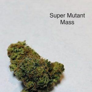 Super Mutant Mass