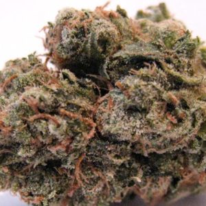 Super Sale! Lime Berry Crush (REC & OMMP)