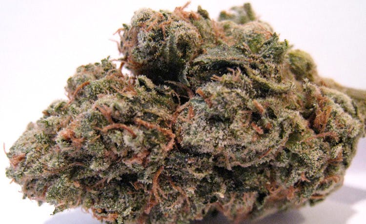 hybrid-super-sale-21-lime-berry-crush-rec-a-ommp
