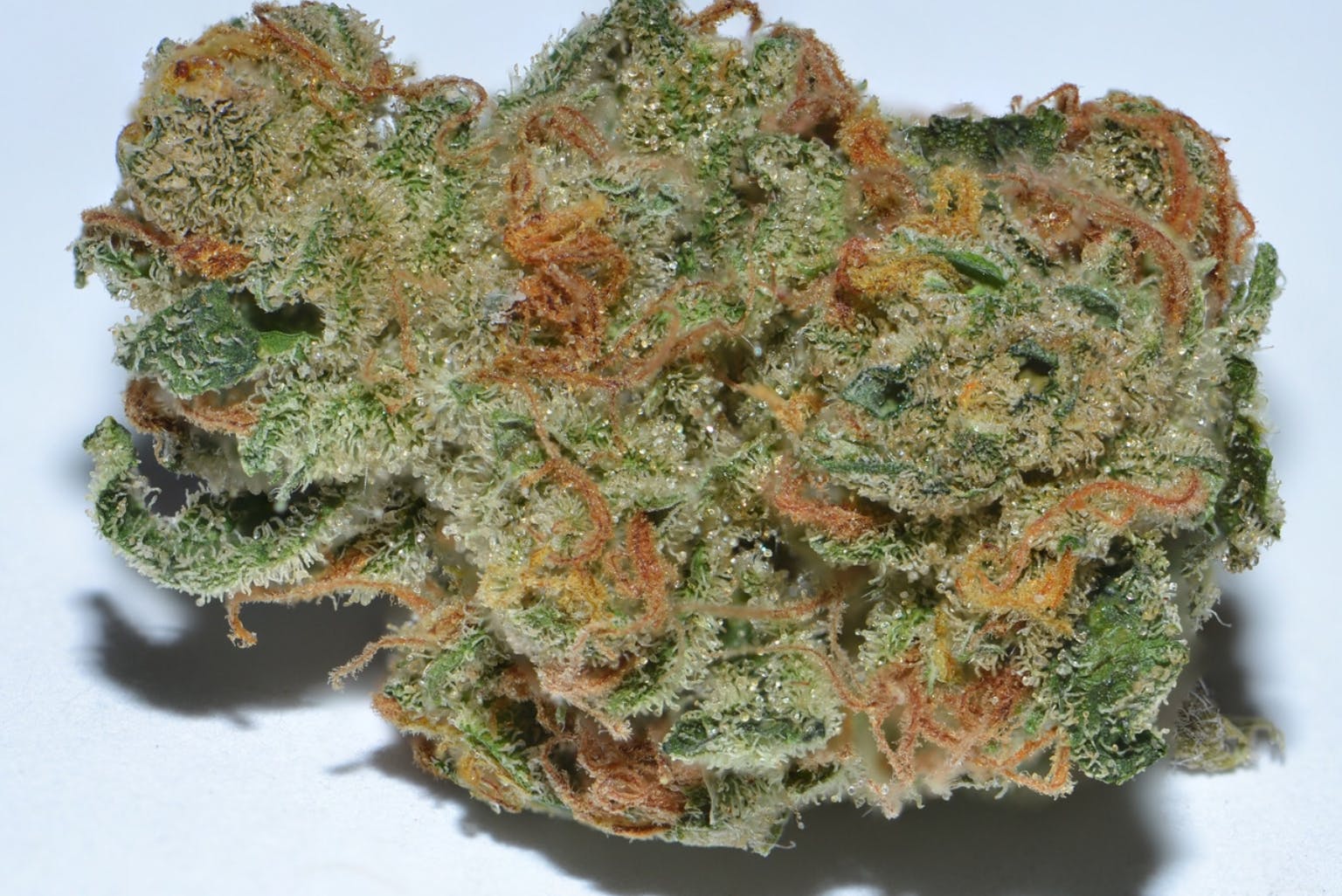 marijuana-dispensaries-7520-foothill-blvd-tujunga-super-silver-haze-5g-40-40