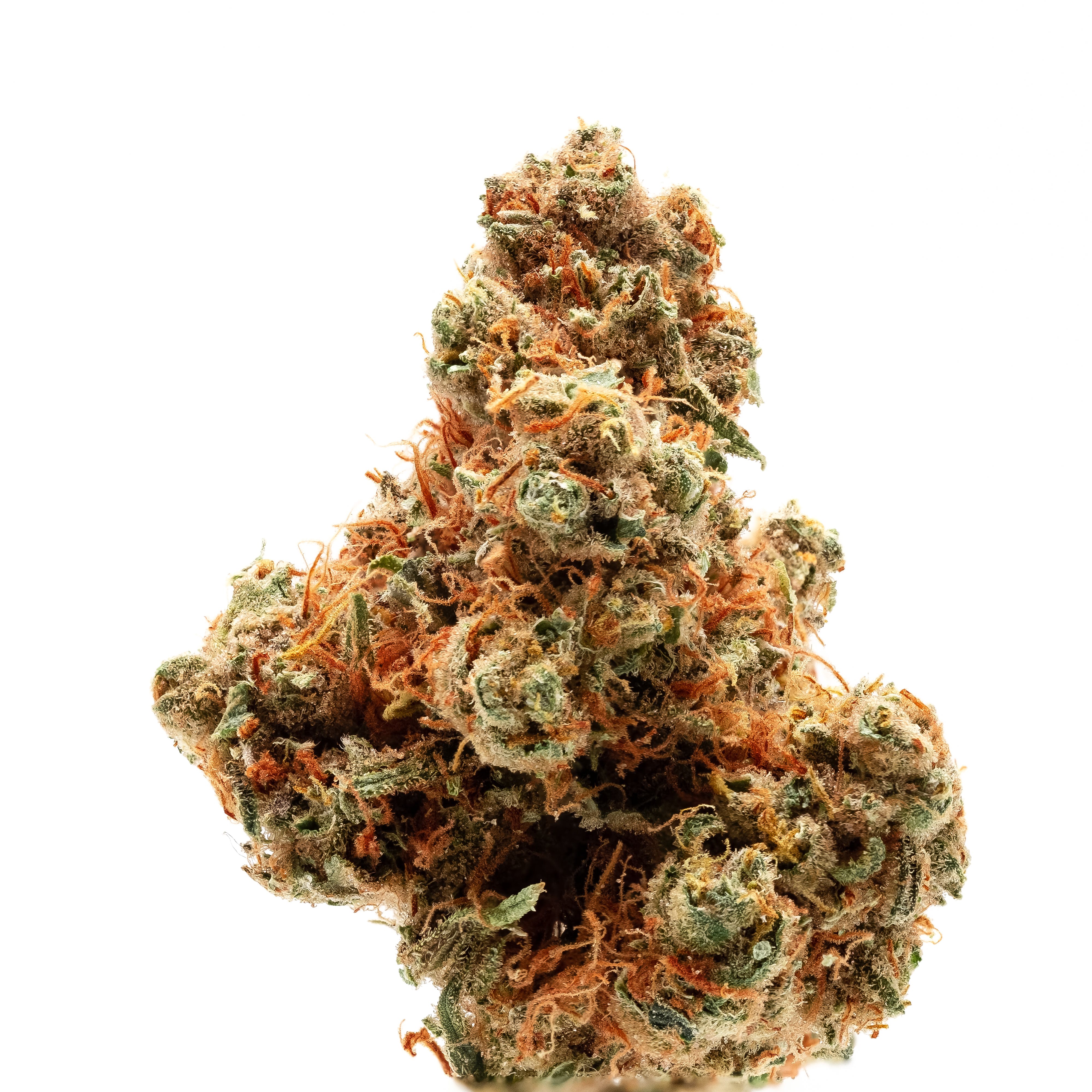 marijuana-dispensaries-4218-mission-street-san-francisco-super-silver-haze-l-s-p-s