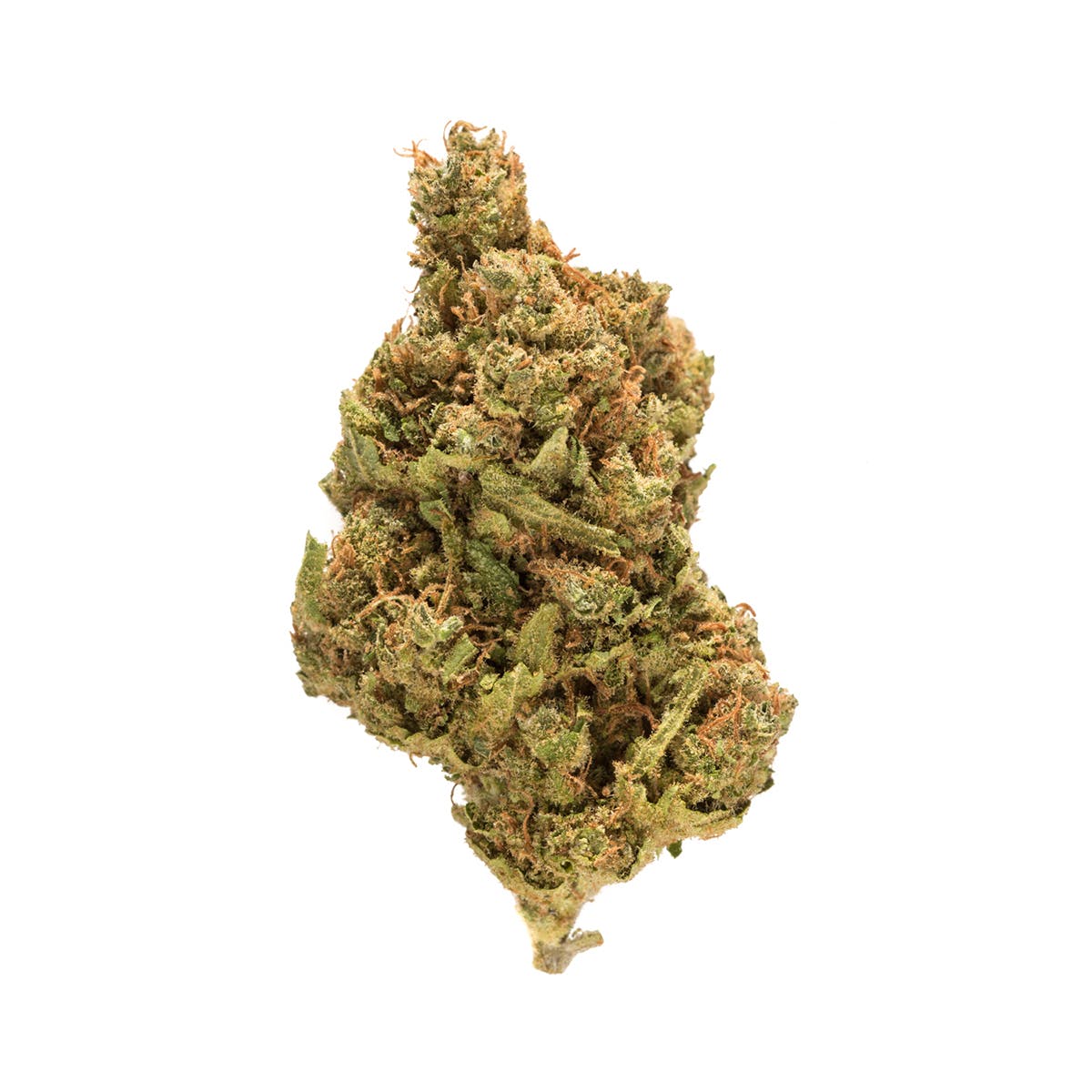 marijuana-dispensaries-the-green-bean-gb-meds-in-flint-super-silver-haze
