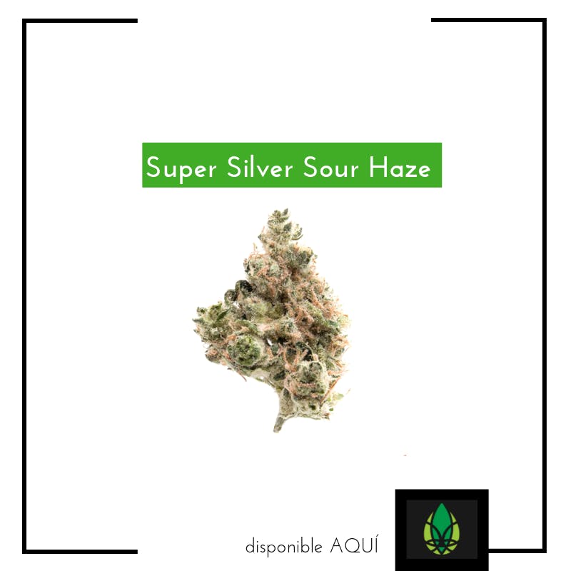 Super Silver Sour Haze (flor)
