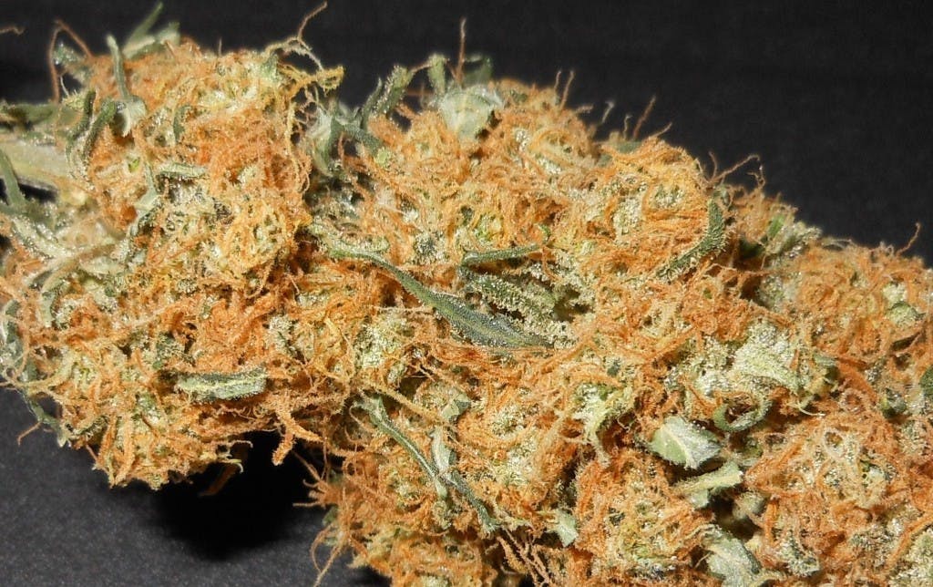 marijuana-dispensaries-3019-toupal-drive-trinidad-super-sour-lemon-sativa-19-60-25