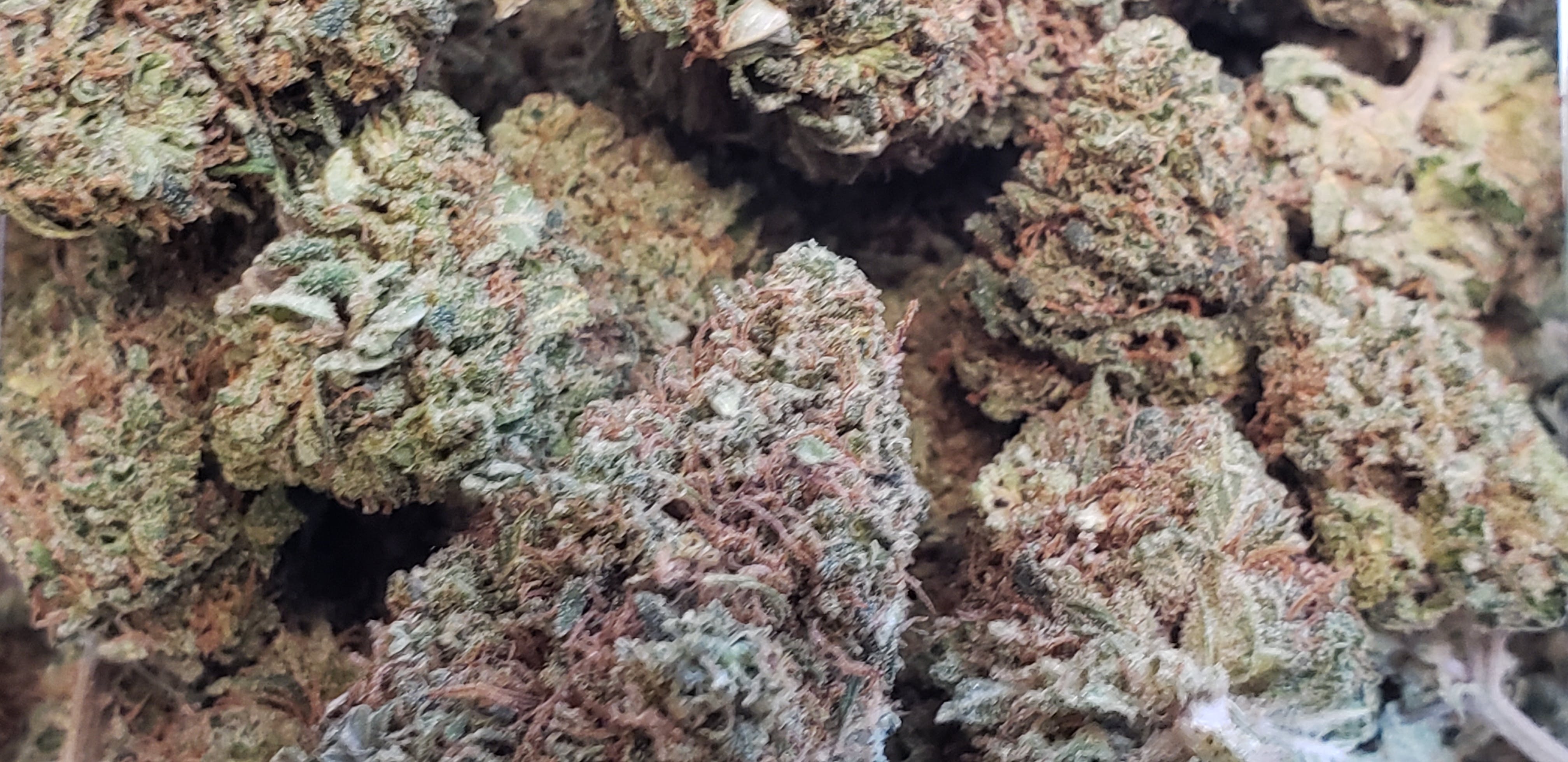 marijuana-dispensaries-altitude-organic-medicine-nevada-in-colorado-springs-sweet-and-sour-widow-x-harley-tsu