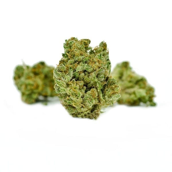 indica-sweet-baby-jane-pr-4-for-30-or-5-for-40