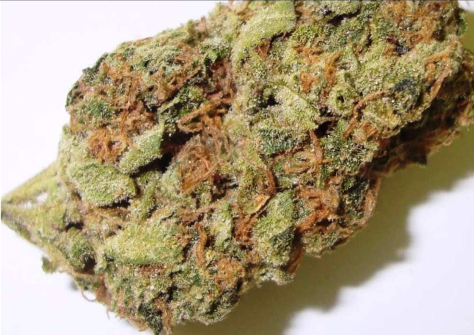 marijuana-dispensaries-7520-foothill-blvd-tujunga-sweet-island-skunk-dogo-10g-40-45