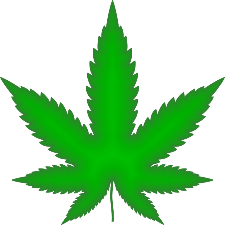 marijuana-dispensaries-motor-city-kush-in-detroit-sweet-island-skunk
