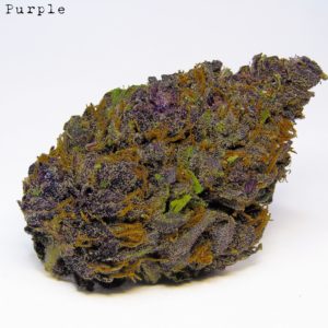 Sweet Purple