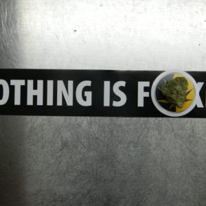 Sweet Relief - Nothing is F**ked (Sticker)